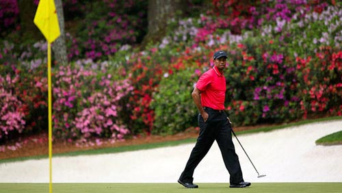 Vắng Tiger Woods, còn gì cho giải golf Masters? ảnh 1
